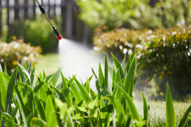 Tamper-Resistant Bait Stations for Rodents in Buckhall