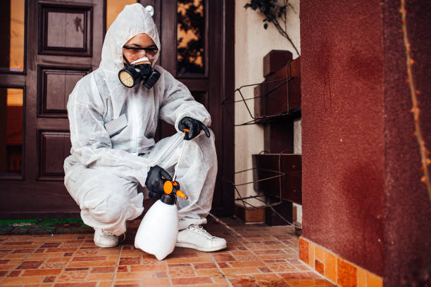 Attic and Crawl Space Rodent Treatment in Buckhall